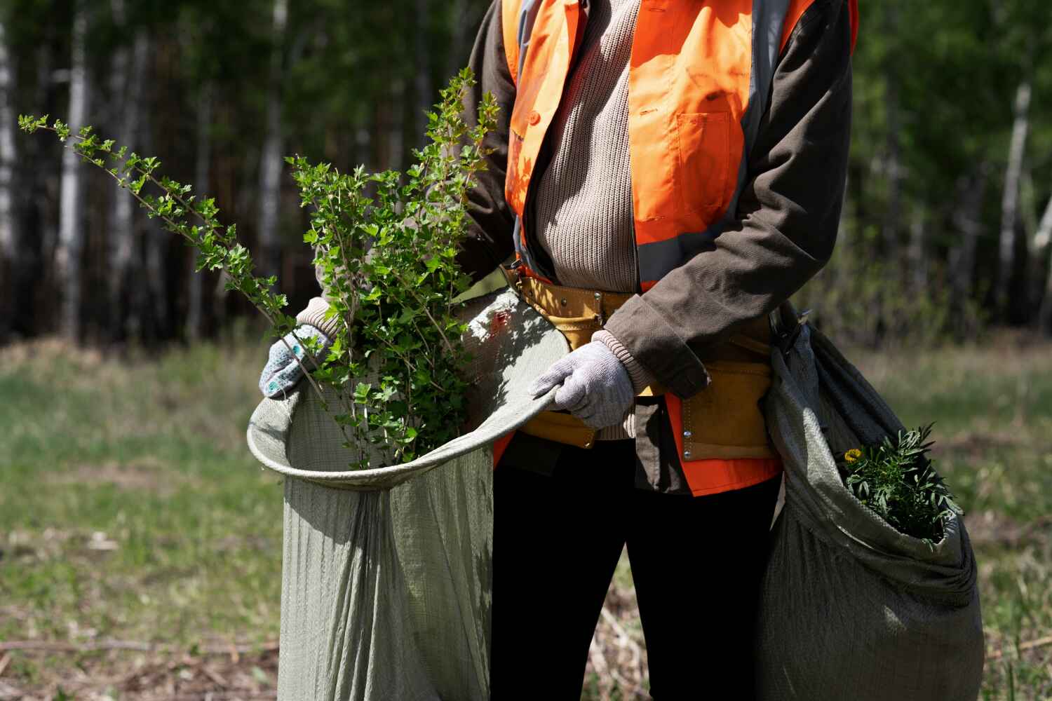 Best Residential Tree Removal  in Tidmore Bend, AL